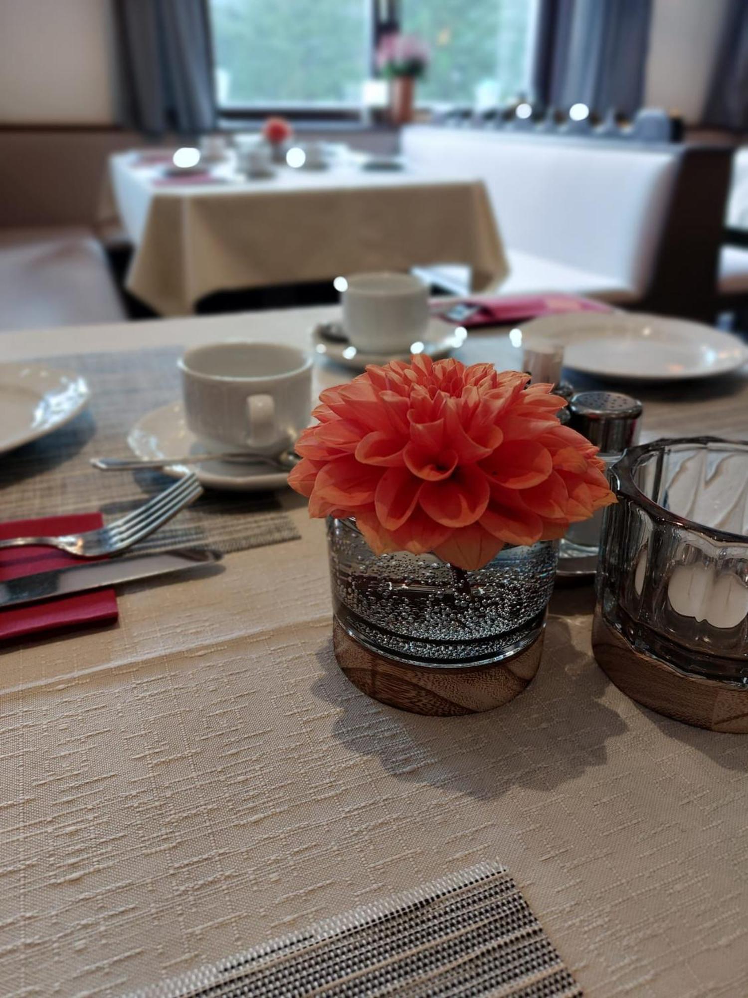 Draxlerhaus Hotel Hohentauern Kültér fotó