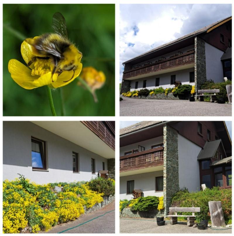 Draxlerhaus Hotel Hohentauern Kültér fotó